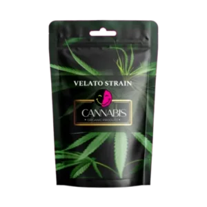 velato strain